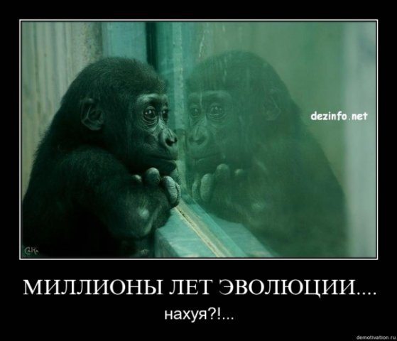  (559x480, 31Kb)