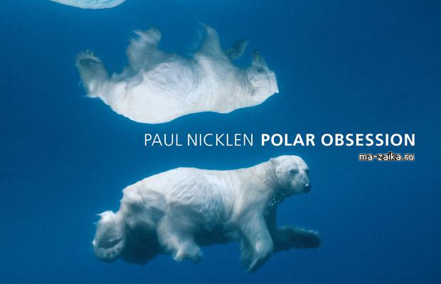   (Polar Obsession)    NICKLEN Paul's