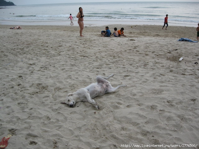 (Koh Chang)
