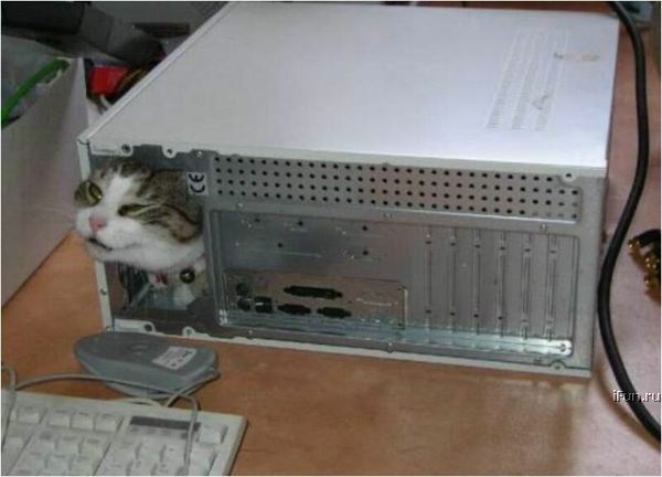  (600x432, 33Kb)