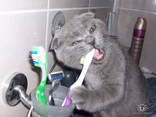  (640x480, 64Kb)