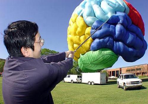  (500x352, 32Kb)