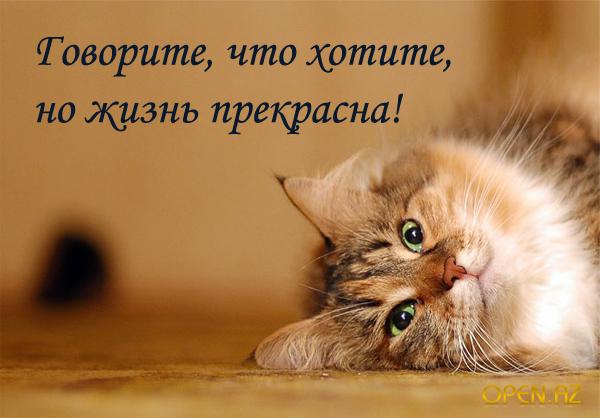  (600x418, 33Kb)