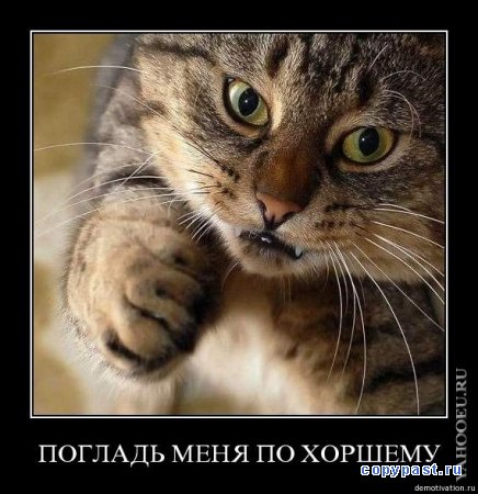  (436x450, 47Kb)