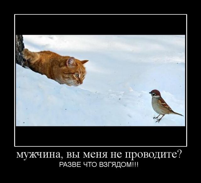  (640x585, 35Kb)