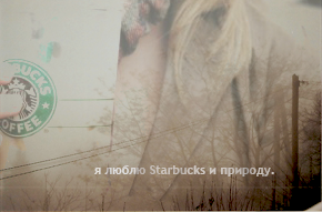  (290x191, 84Kb)