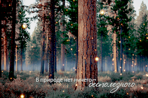  (290x193, 124Kb)