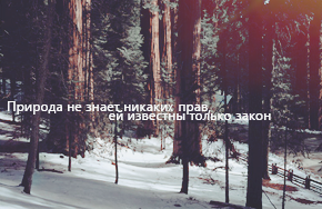  (290x188, 109Kb)