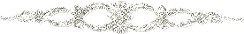  (244x34, 26Kb)