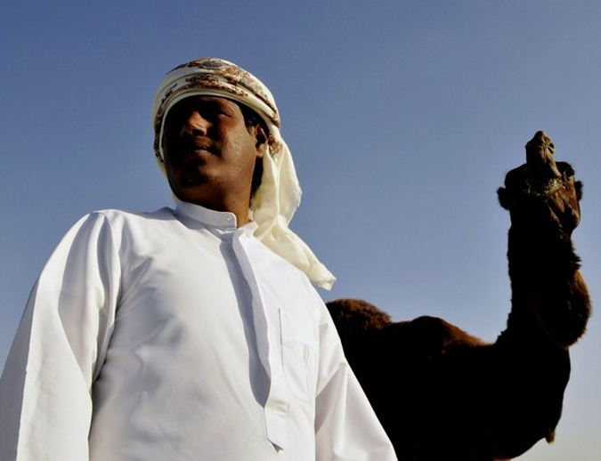   /     (Mazayin Dhafra Camel Festival / Camel Beauty Contest), , -, 8  2010 .