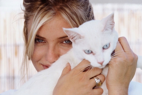  Cameron Diaz