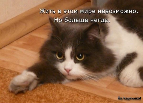  (600x432, 39Kb)