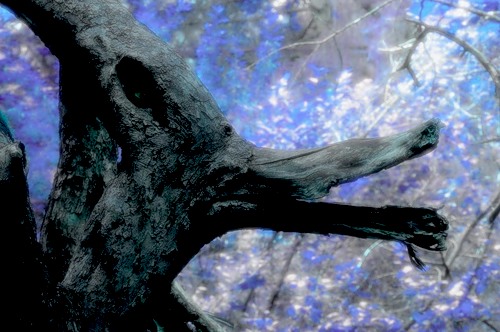 (500x332, 55Kb)
