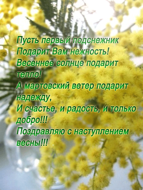 1267204290_Pozdravlyayu_s_nastupleniem_vesnuy1 (480x640, 373 Kb)