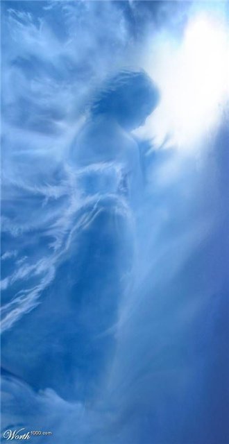 (330x640, 22Kb)