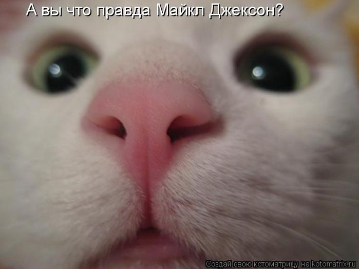  (699x524, 28Kb)