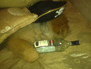 ���� (389x292, 20 Kb)