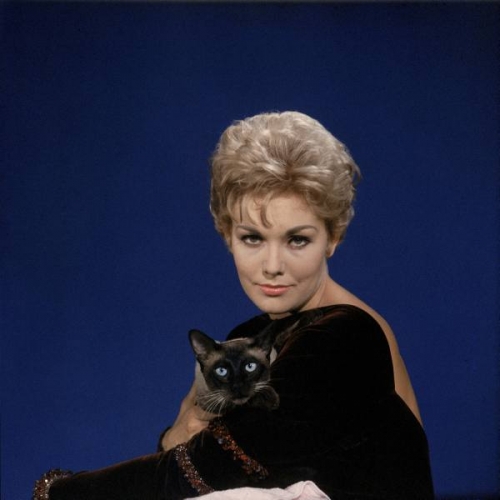  Kim Novak