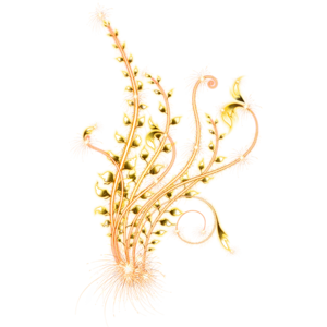  (300x300, 87Kb)