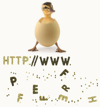  (343x367, 18Kb)