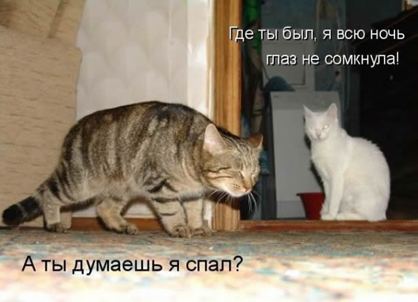  (600x434, 46Kb)