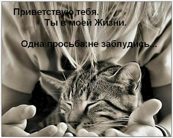 (600x479, 62Kb)