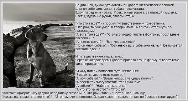  (600x323, 102Kb)