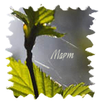  (150x150, 42Kb)