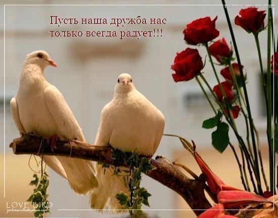 (550x431, 46Kb)