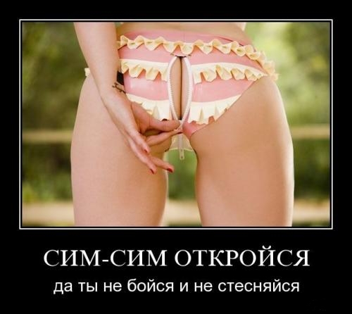  (500x446, 78Kb)