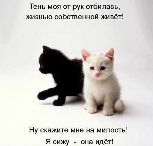 http://img1.liveinternet.ru/images/attach/c/1//57/257/57257450_1web.jpg
