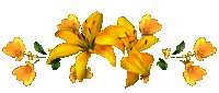  (200x85, 5Kb)
