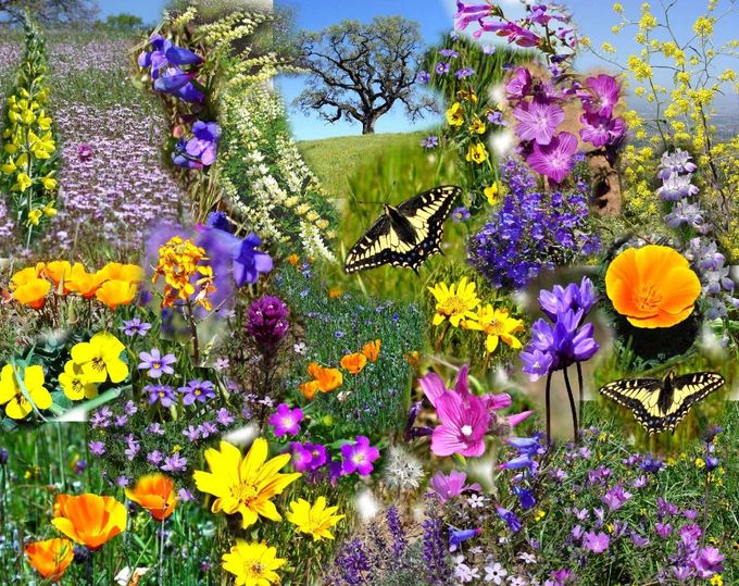 44448814_0105_Spring_Flowers_web (680x539, 153 Kb)