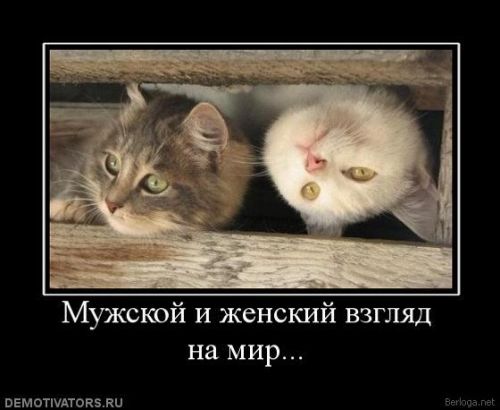  (500x410, 29Kb)