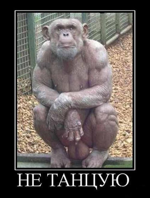  (500x660, 57Kb)