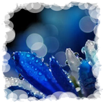  (150x150, 44Kb)