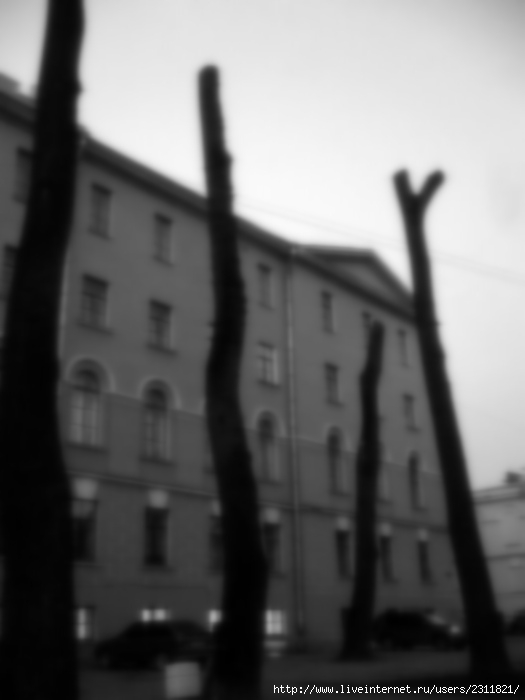 P1120037 (525x700, 44 Kb)