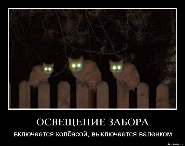 http://img1.liveinternet.ru/images/attach/c/1//59/873/59873523_1274865148_tai4erodebfb.jpg