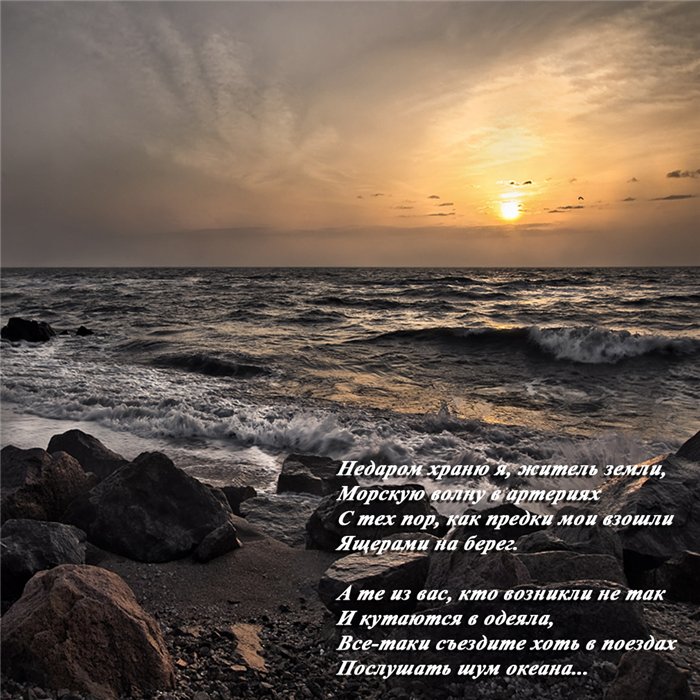1c71cbef8b10 (700x700, 117 Kb)