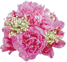 Bolshie rozovie rozi (215x200, 65 Kb)