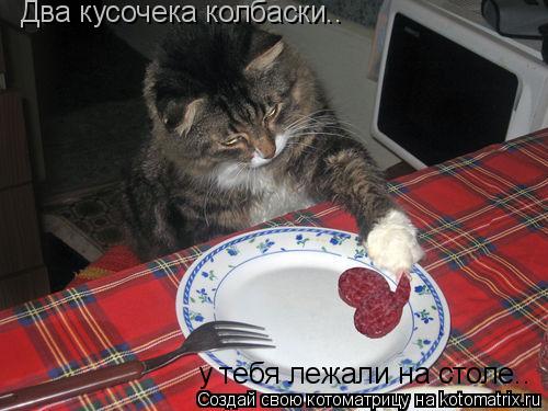  (500x375, 40Kb)