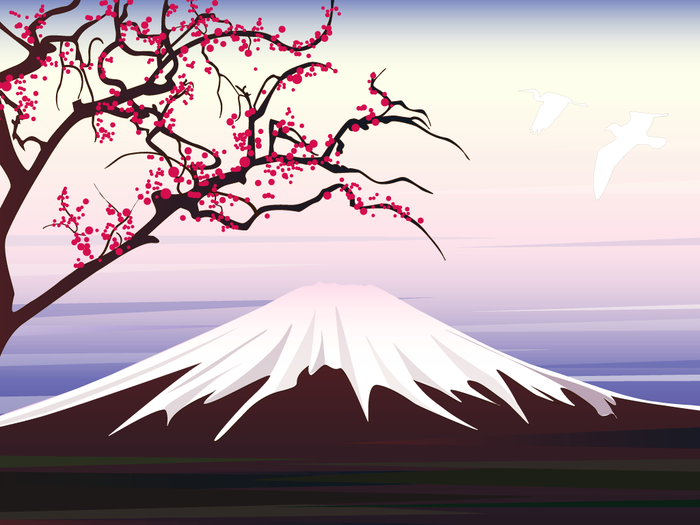  (700x525, 196Kb)