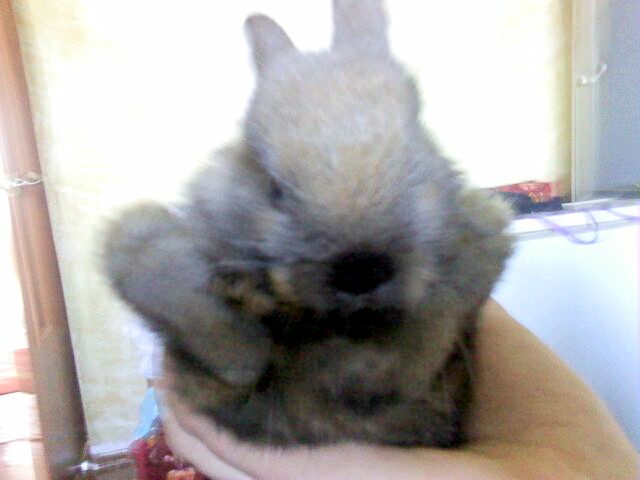  (640x480, 39Kb)