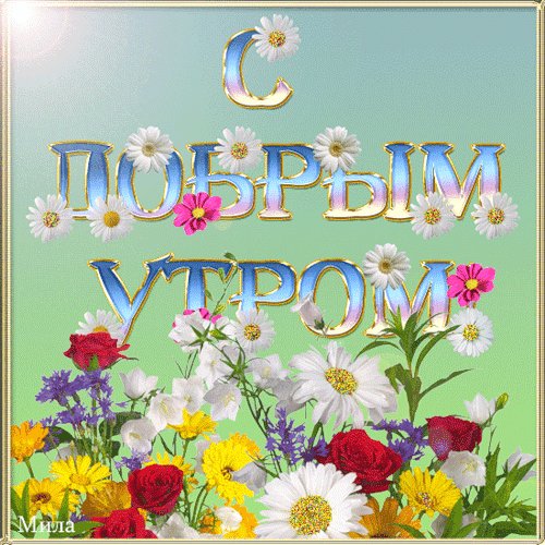  (500x500, 82Kb)