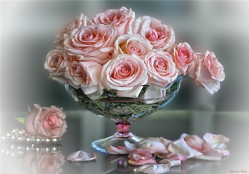 flowers,beautiful,pearls,pink,roses,like,it,sooooo,much,roses-3fdcb9580b675c716de8ac8d7f0f8d5f_h (500x350, 44 Kb)