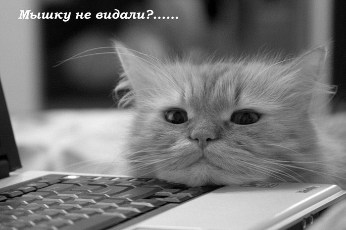  (699x466, 70Kb)