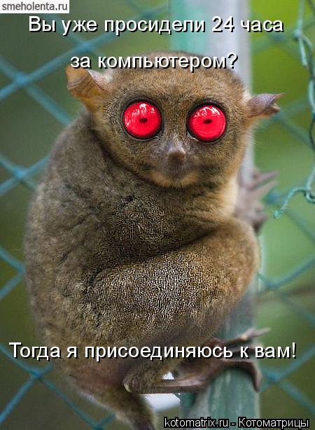 http://img1.liveinternet.ru/images/attach/c/1//61/700/61700514_c51e9e5c1b3c9f17dc7f571f5d3b4fb6.jpg