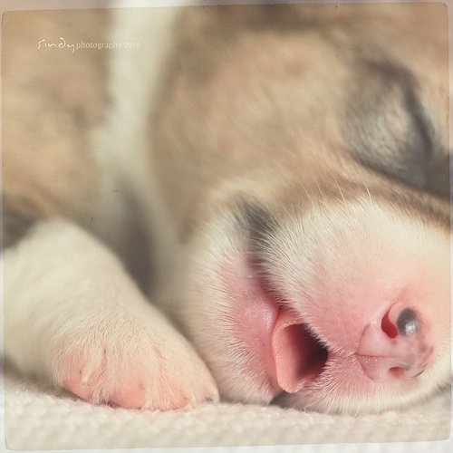  (500x500, 36Kb)