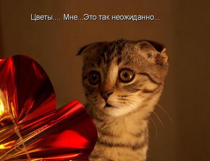  (699x537, 39Kb)