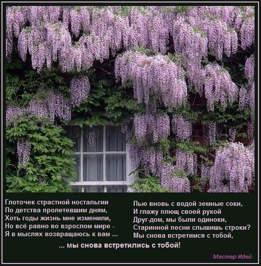 (525x535, 265Kb)